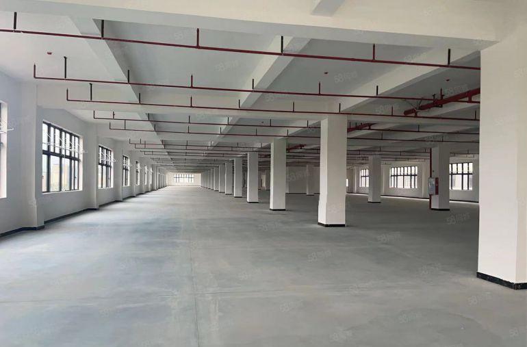 博罗县罗阳镇全新红本标准厂房出租