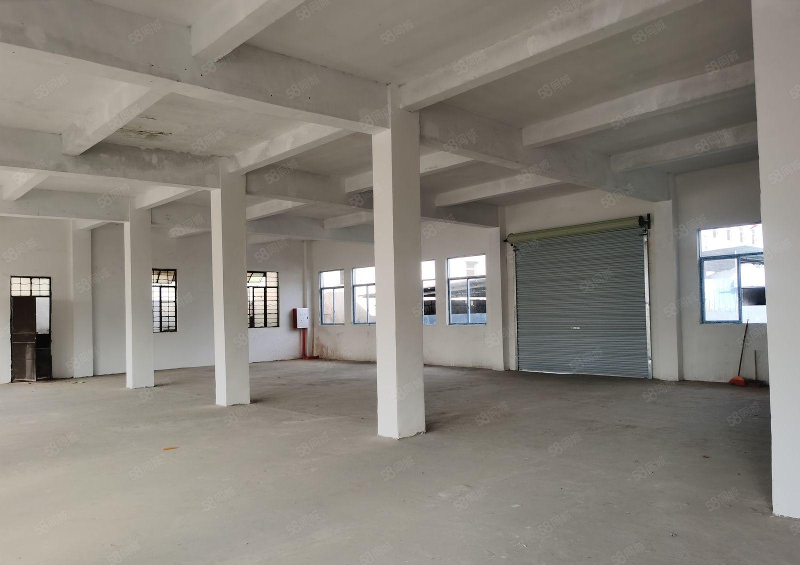 博罗福田3230方独院标准厂房出租 村委厂房可分租