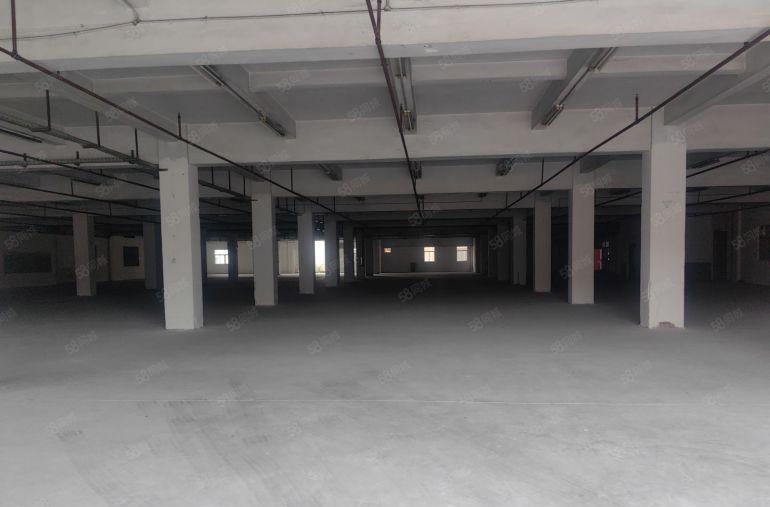 独门独院  空地打 大道边工业园 厂房出租