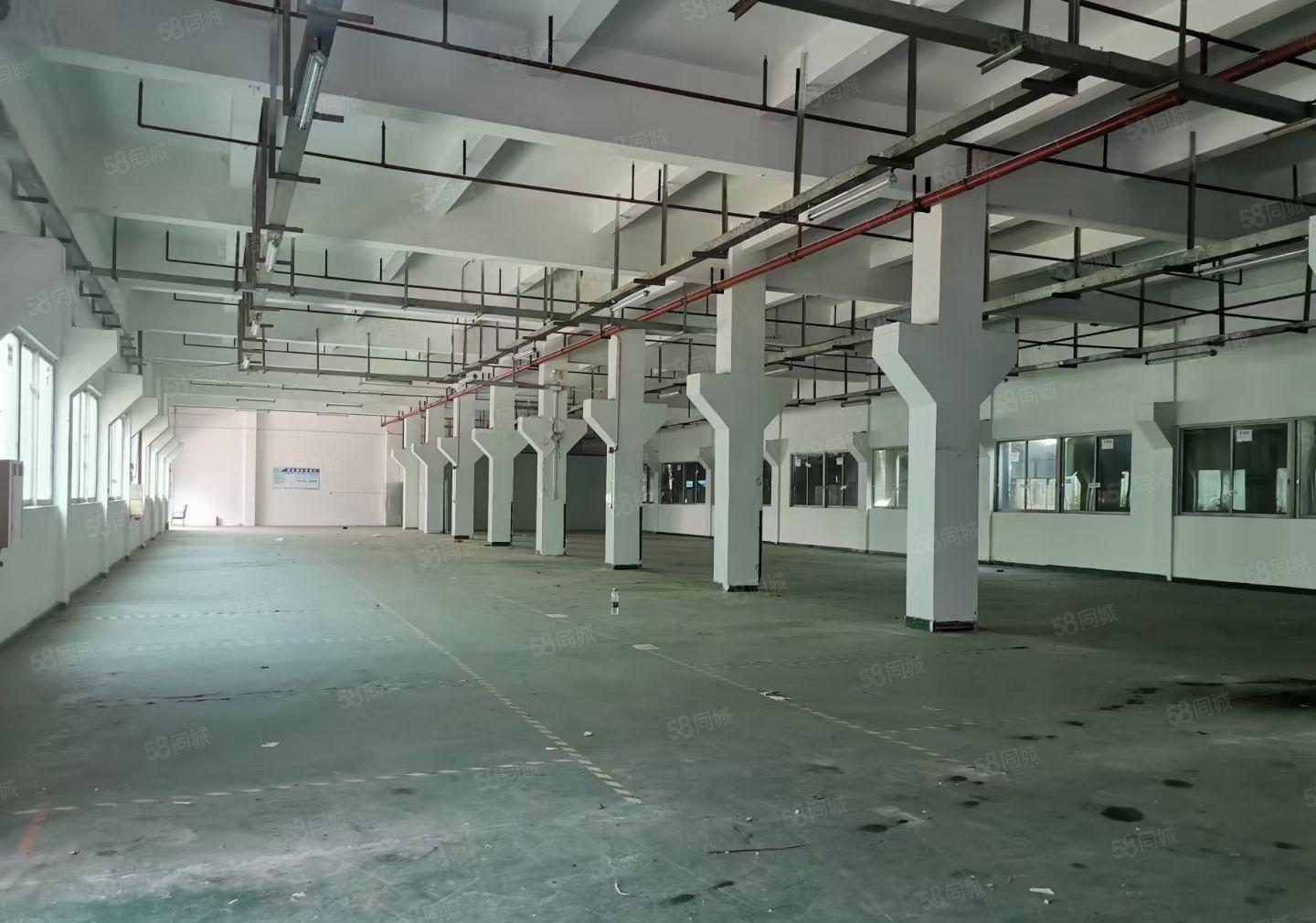 全新独院标准厂房出租 9200平米红本双证齐全