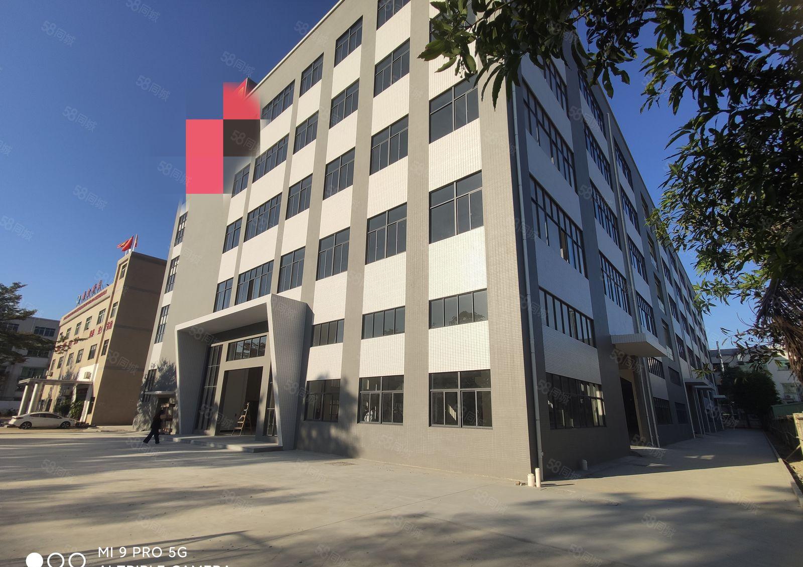 1000平方起租，石湾科技园红本重工业标准厂房招租，易招工。