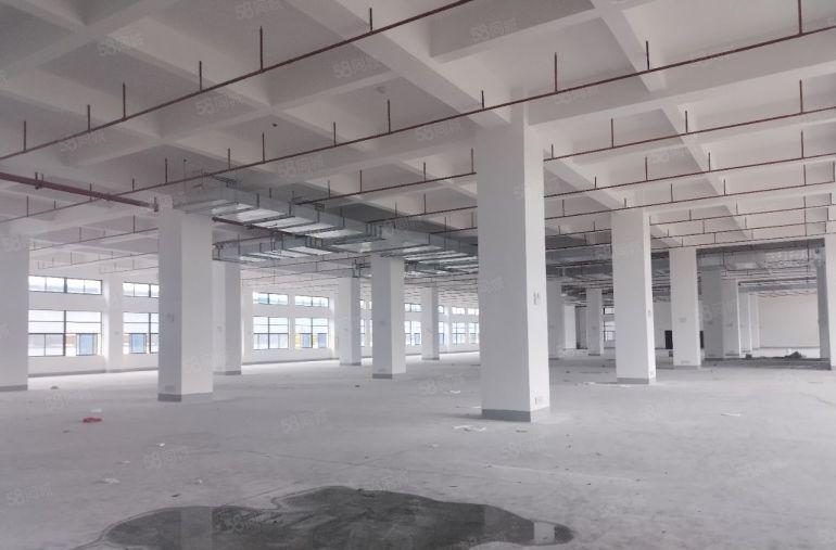 可分租36000平独院重工业标准厂房整栋出租
