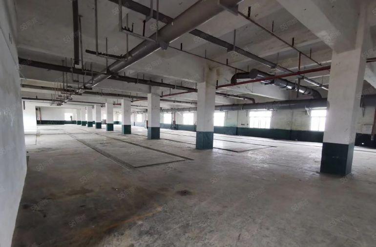 园洲全新厂房1500平起租出租 南北通透 采光好