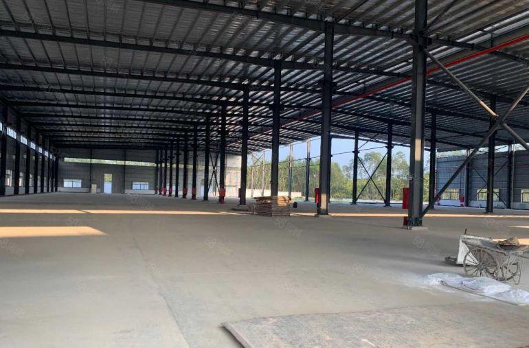 园洲镇独院原房东单一层厂房6000平米出租