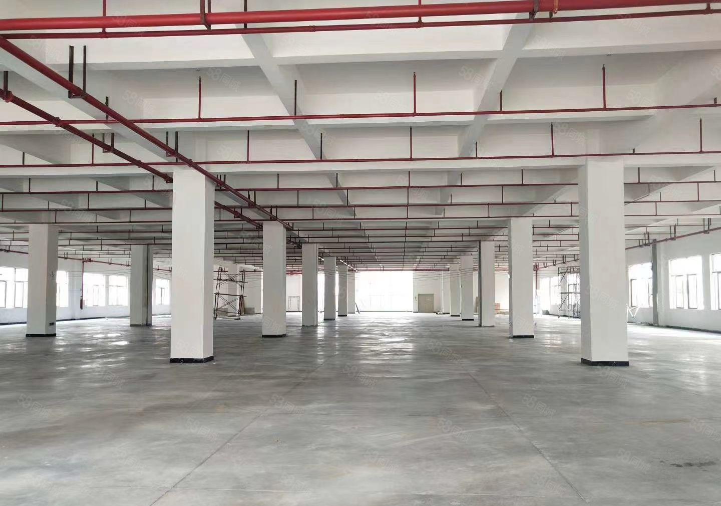 石湾镇厂房仓库出租26300平方上市公司形象可拎包生产