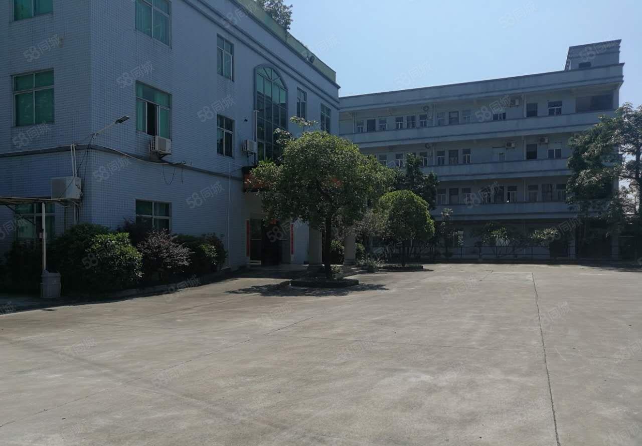 龙溪镇花园式独院厂房出租