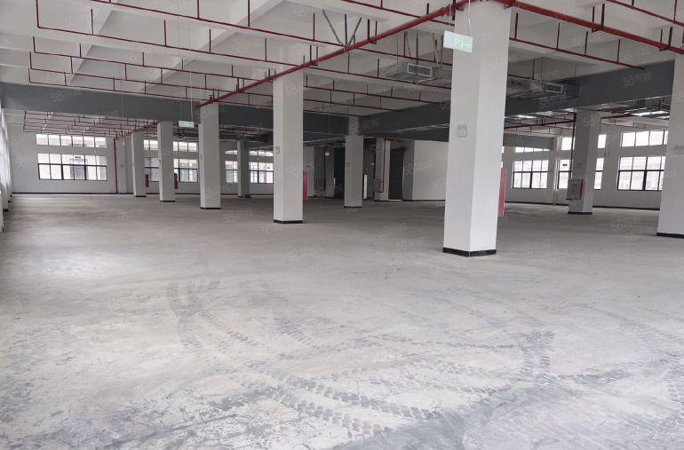 石湾镇9元全新独院厂房带地坪漆楼上分租一层4000可分租