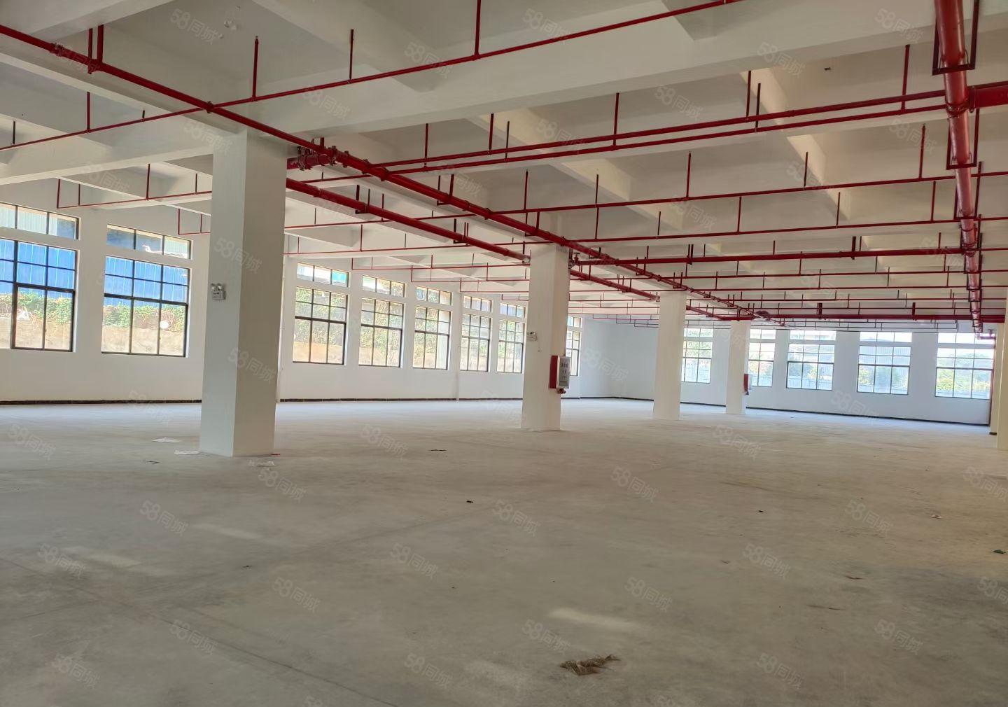 （临广州）惠州石湾科技园全新标准厂房35000平米招租