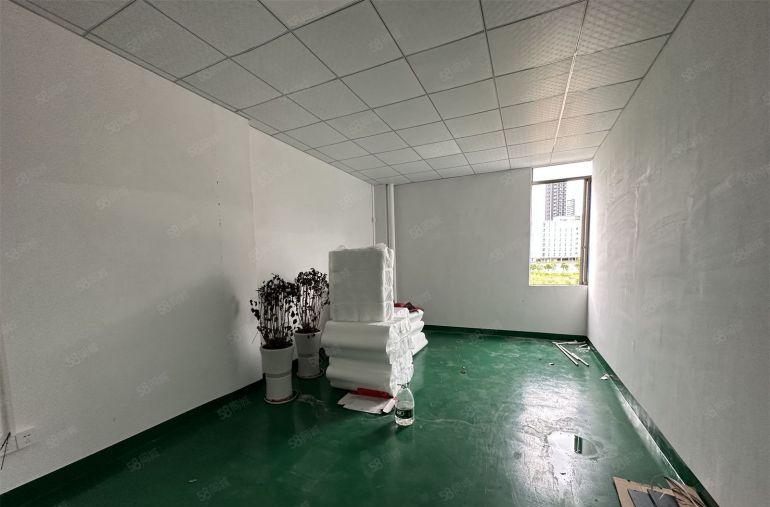 园洲新出一楼8米高标准厂房3000平方可分500重工业厂房