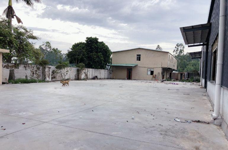 免租期三个月，石湾钢构独院厂房仓库出租，可分租，带精装办公室