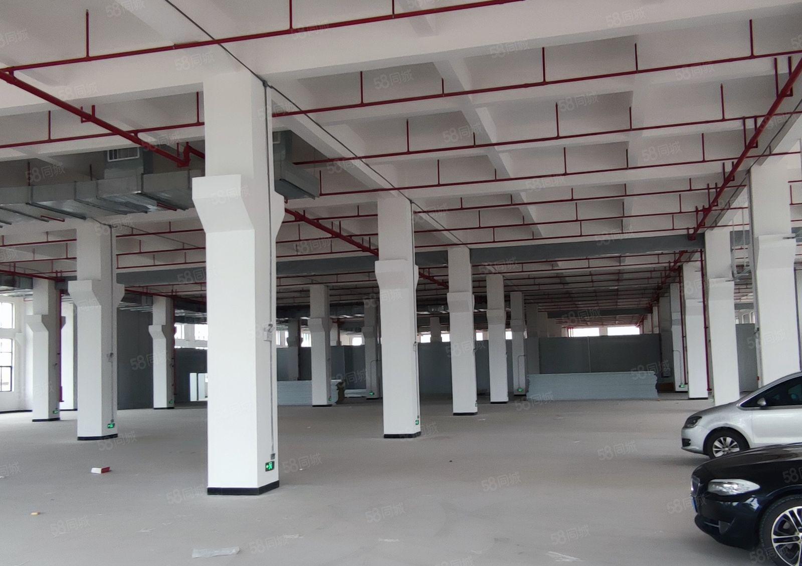 石湾科技园厂房15块出租 价格美丽 空地超大