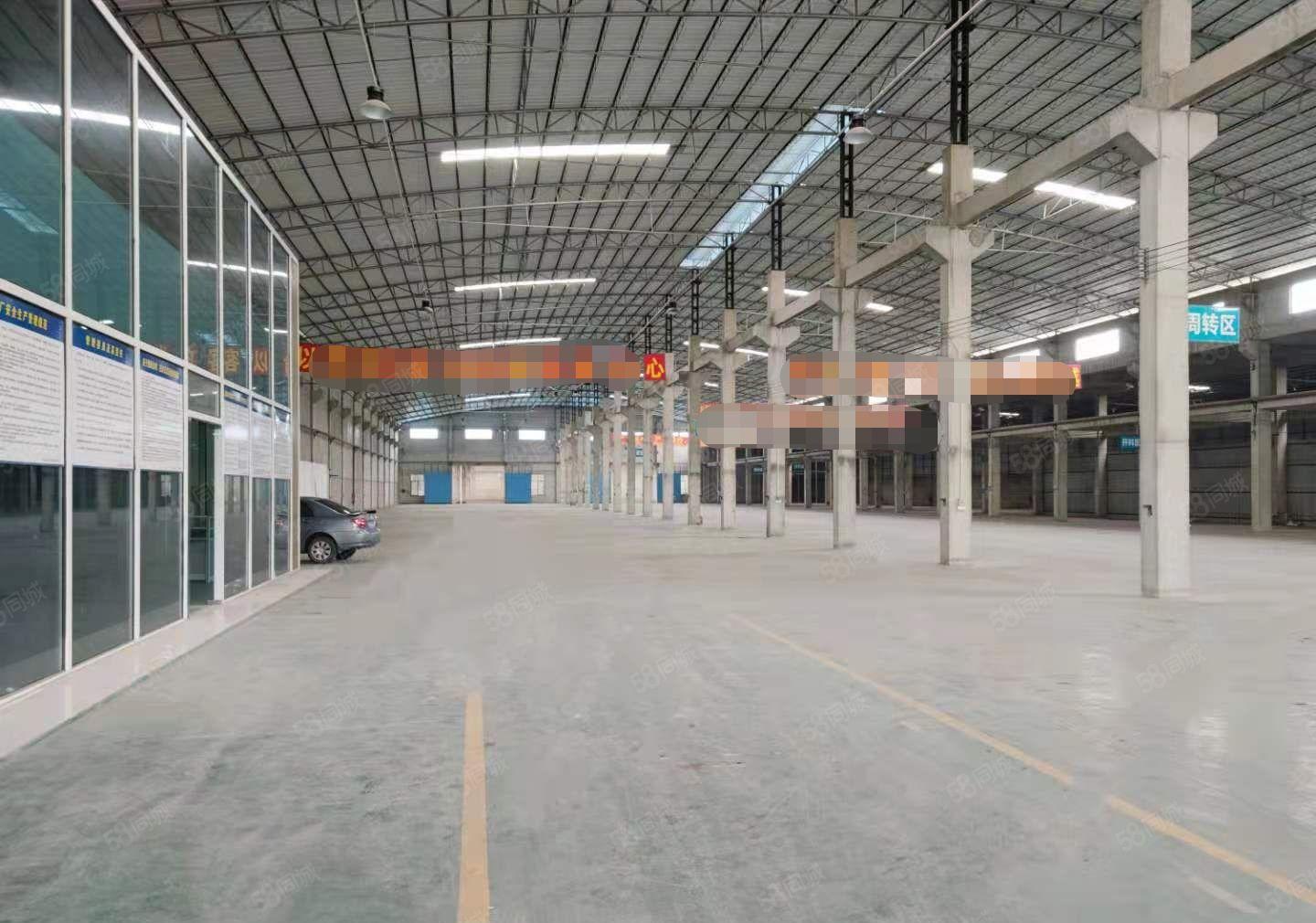 圆洲单一层滴水10米钢构厂房出租9000平2000平起分