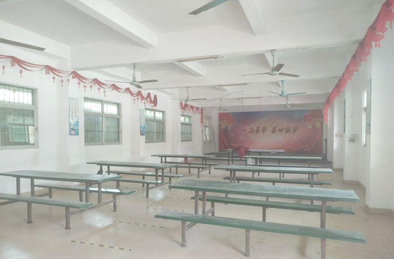 石湾超大空地 村委厂房招租7500平方，独立办公楼宿舍楼