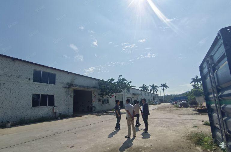 博罗麻陂镇新出钢构厂房低价出租只要10元8米高进车方便