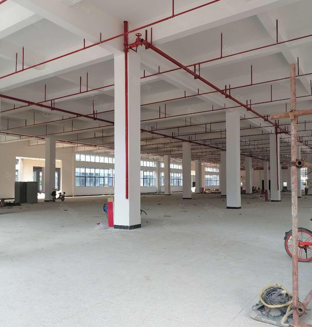 惠州市博罗县龙溪镇高速路口旁原房东独门独院全新标准厂房招租