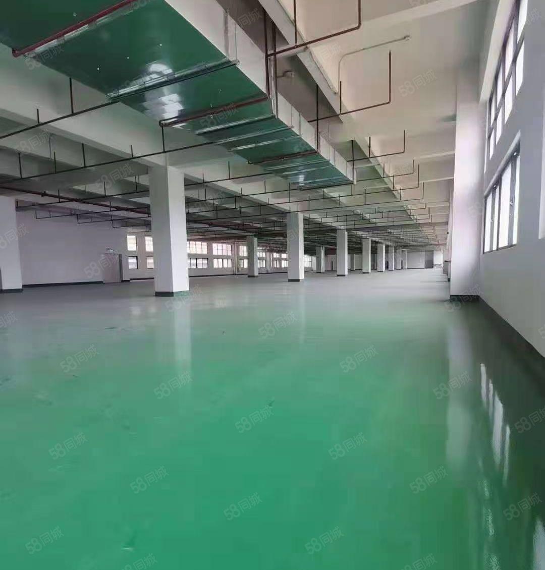 石湾原房东红本双证标准厂房特价出租！