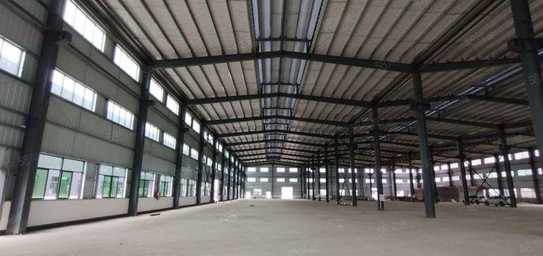 园洲财税补贴5元钢构滴水13米带牛角独院全新原房东现房出租。