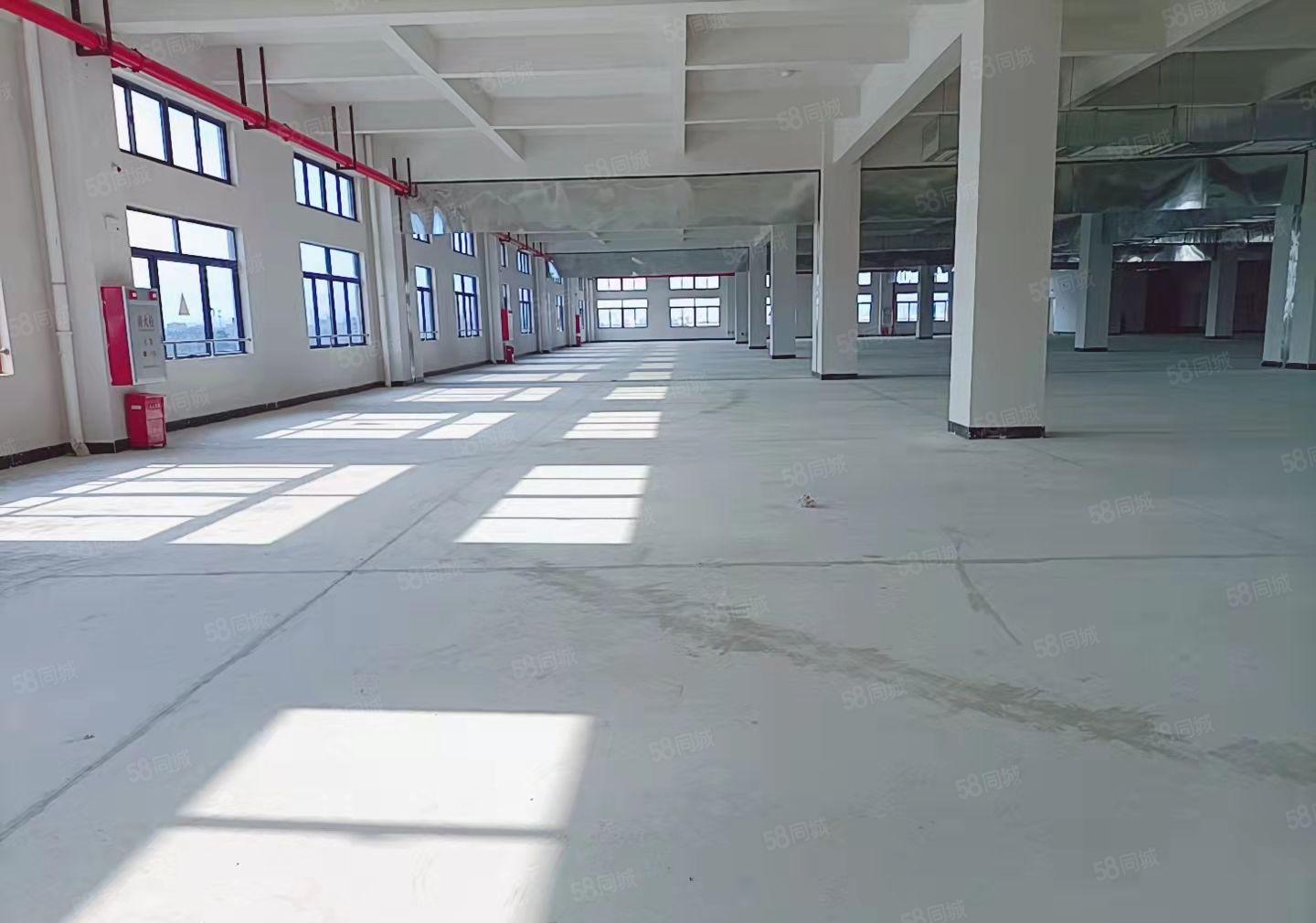 工业园分租厂房 红本证件齐全 可办环评  标准楼房 原房东