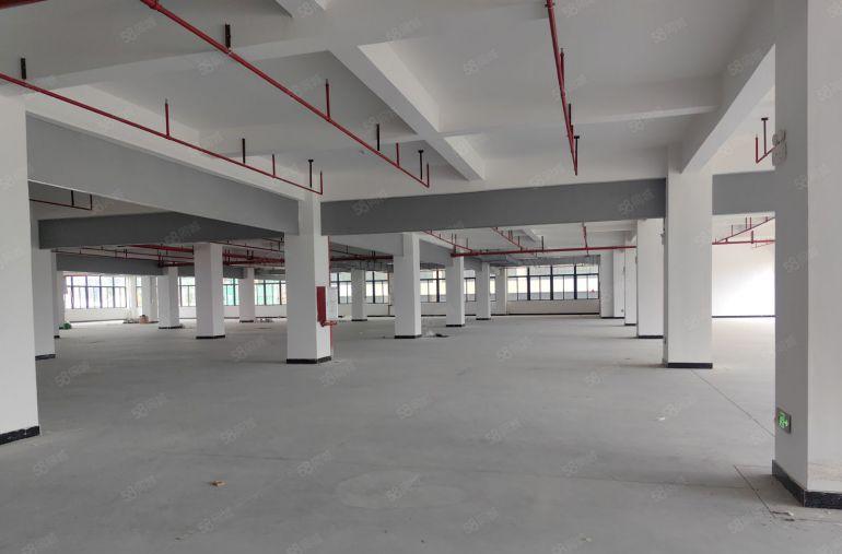龙溪电镀基地边全新厂房 四面采光 前后租遮挡 门前有大空地