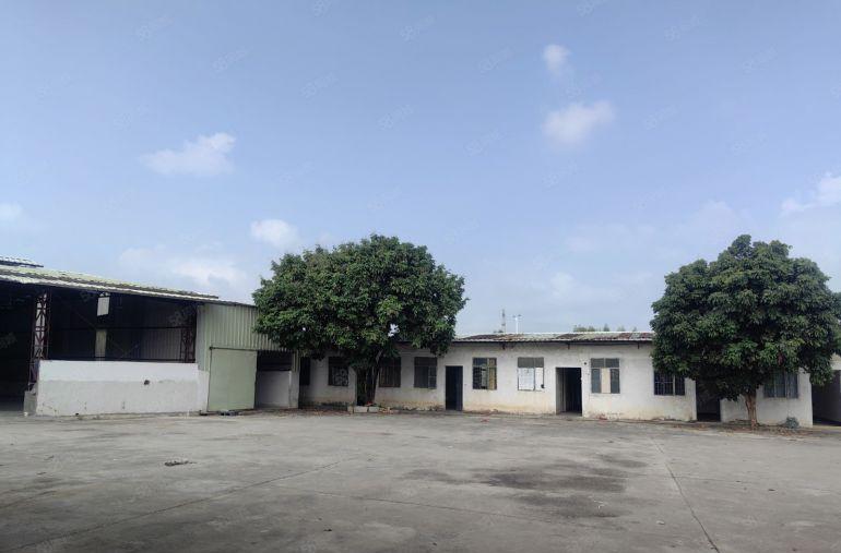 钢结构单一层 双龙大道边独门独院厂房出租