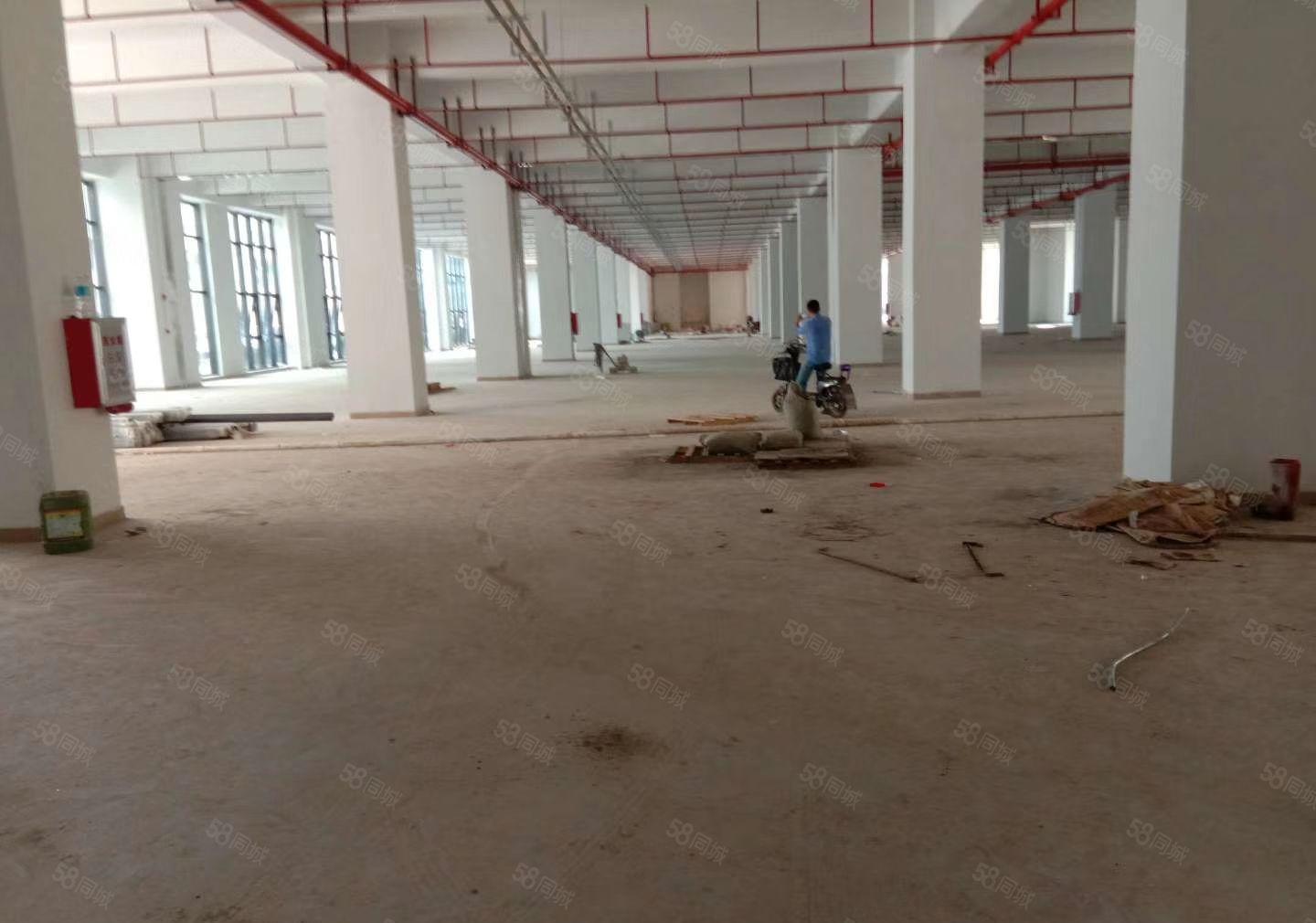 惠州市博罗县龙溪镇电镀基地附近工业园区厂房招租，300平米起