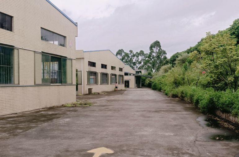 园洲原房东独院厂房底价出租4600方，空地超大现成家具环评