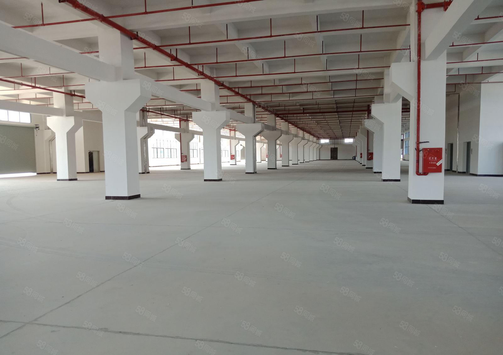 惠州市石湾镇原房东全新独门独院标准厂房33000平方招租