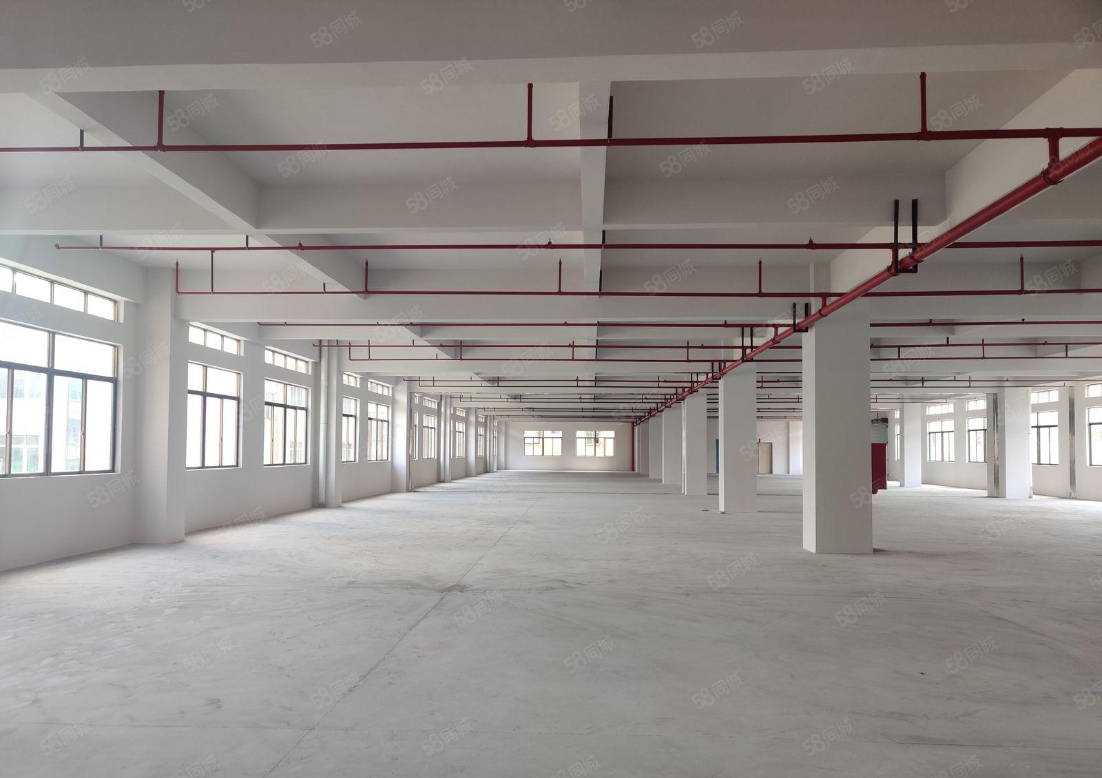 8元可分租原房东博罗石湾园洲2万平厂房仓库一楼空地独院出租