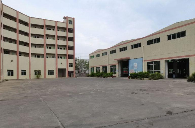 500平起租博罗龙溪20000平原房东钢构厂房仓库出租可环评