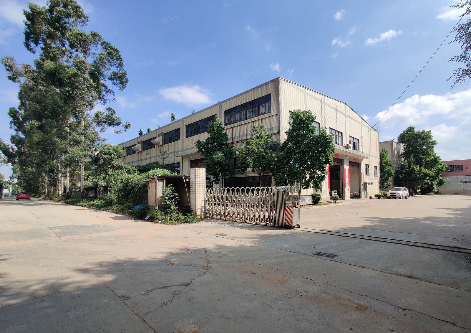 8元起原房东博罗石湾园洲2700平独院钢构带牛角一楼仓库出租