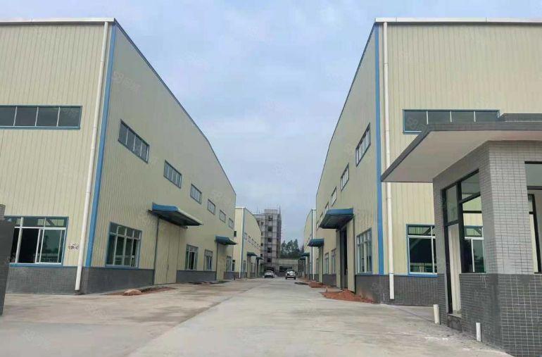 园洲镇独院原房东单一层厂房6000平米出租