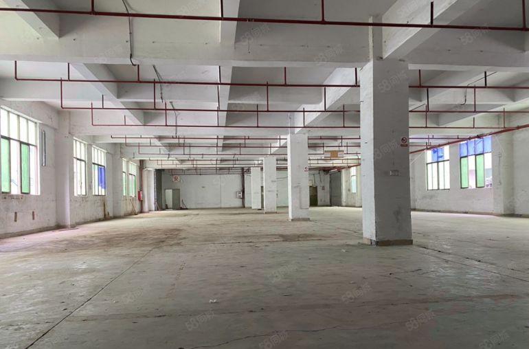 博罗石湾原房东5500平独栋标准厂房 价格9块