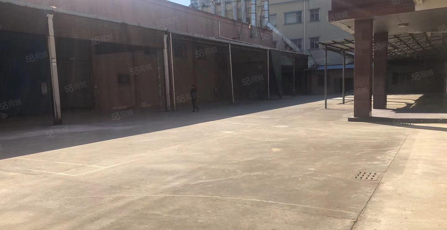 园洲新出原房东独门独院单一层厂房5800平方宿舍1200平方