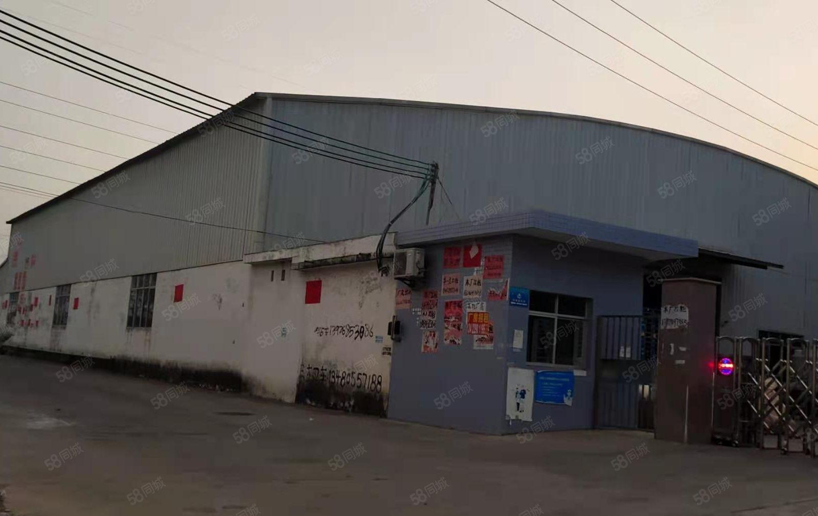 园洲镇村委新出独院钢构単一层厂房电可对公不赚一分钱差价