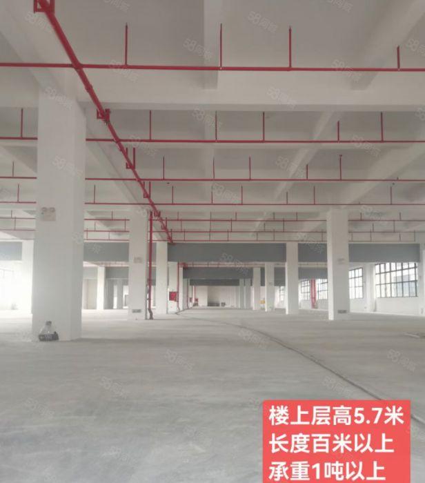 石湾原房东独院厂房仓库出租20000平，高速出口旁，可办环评