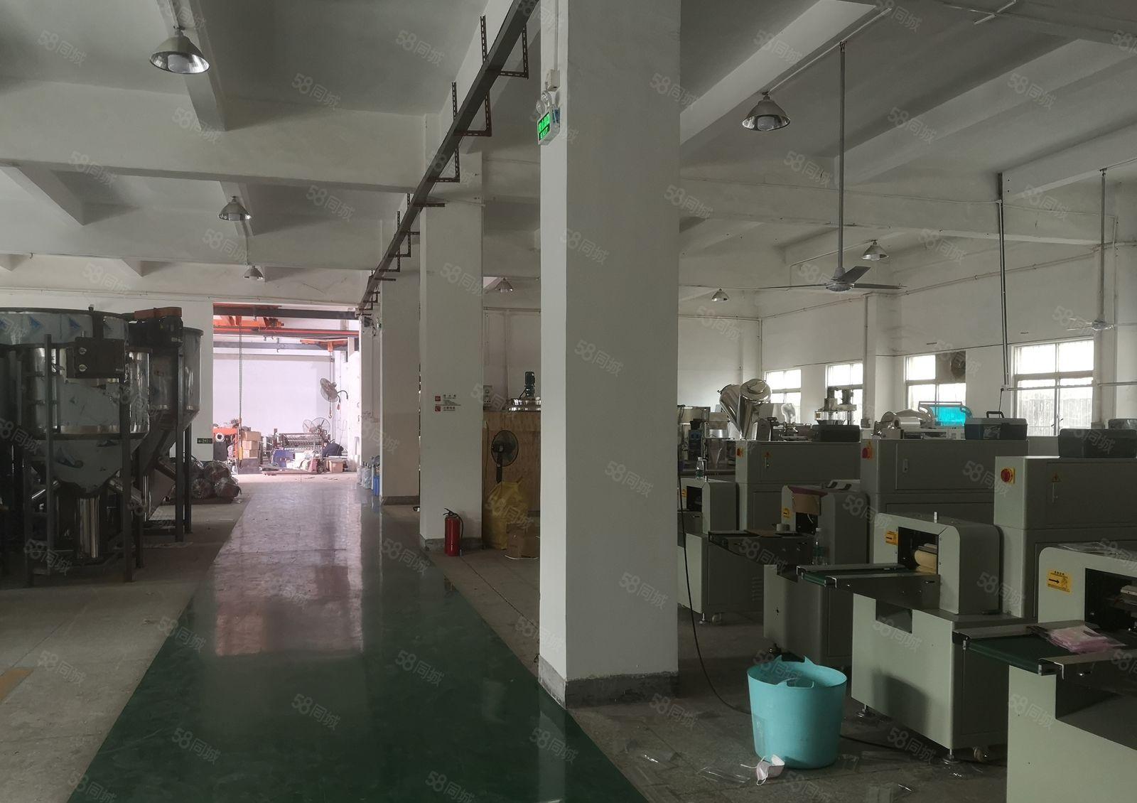 石湾镇成熟园区 新出原房东一楼1000平厂房出租 带豪华装修