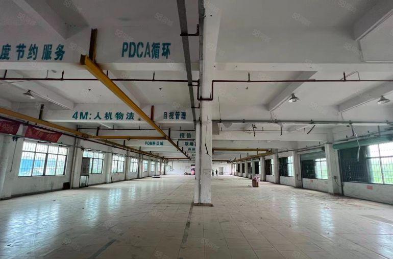 园洲镇独院原房东标准厂房4000平米出租，宿舍配套齐全