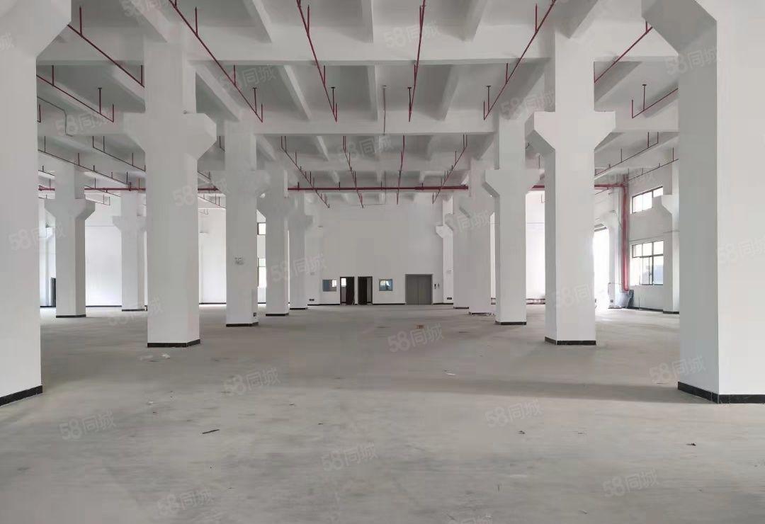 精选厂房 大小可分租 工业厂房 自建房 电梯厂房可分租