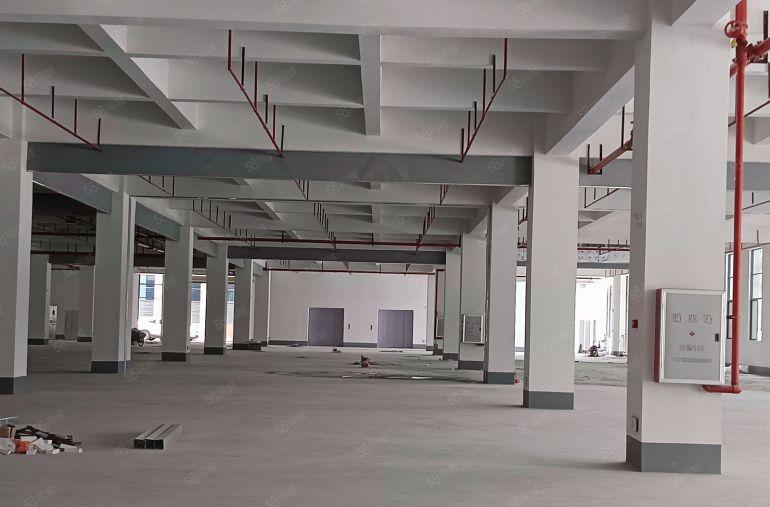 石湾镇原房东独院厂房出租 分租1000方8000方以上大空地