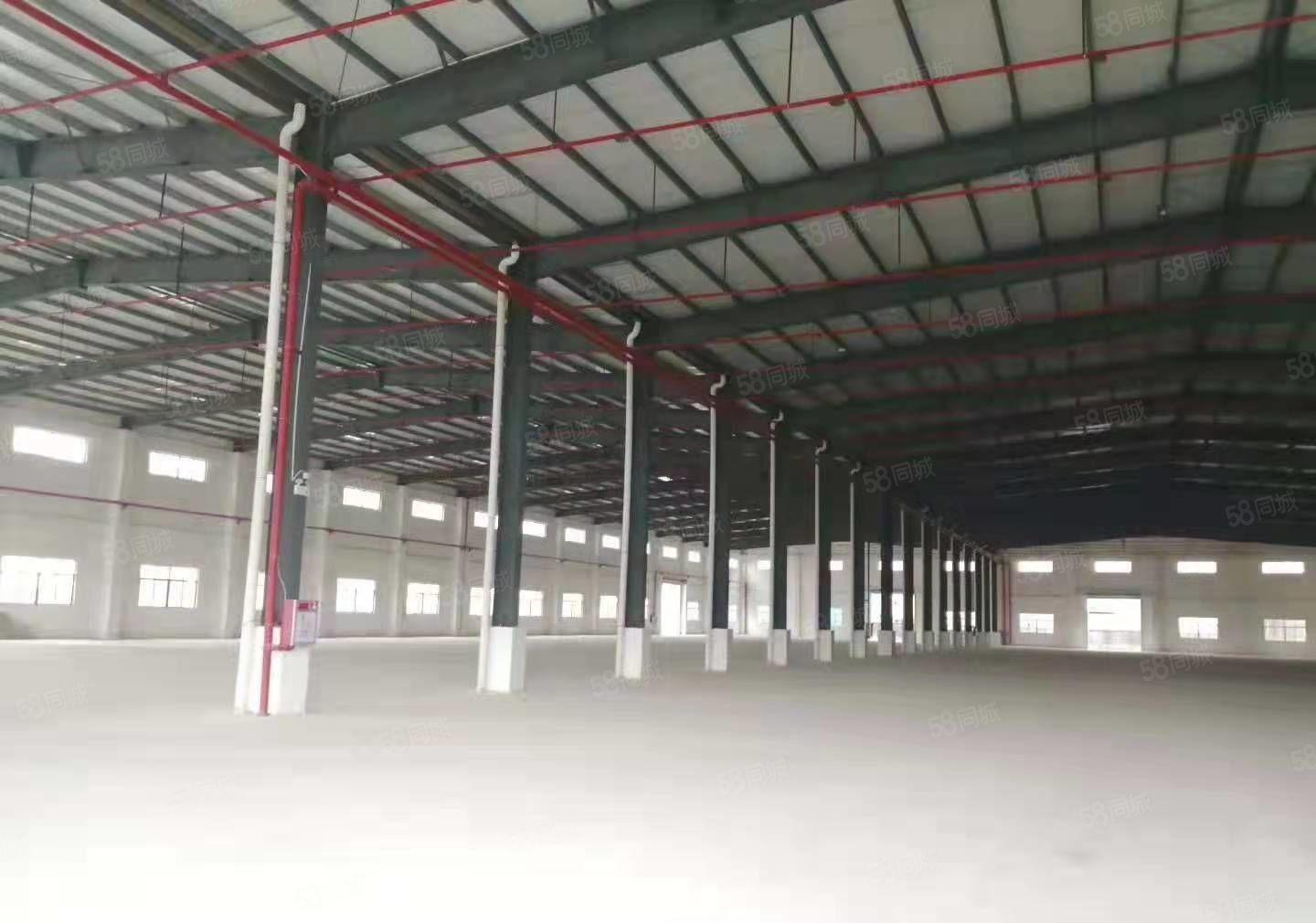 园洲新出原房东独门独院单一层厂房20000平方1000平方起