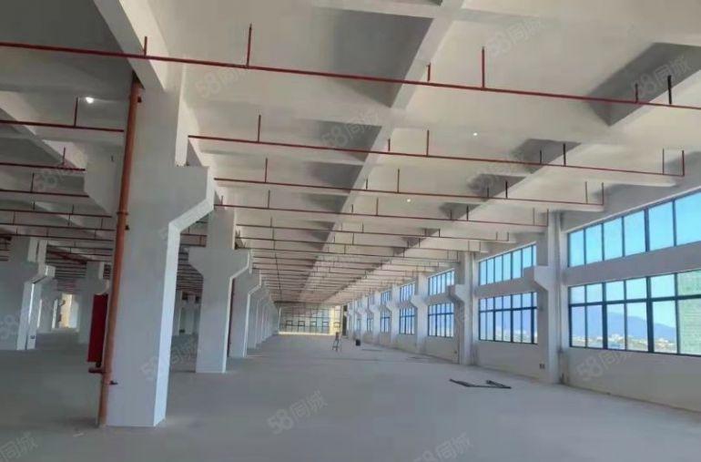 博罗县石湾镇全新重工业花园式标准独院厂房出租5万多方可分租一