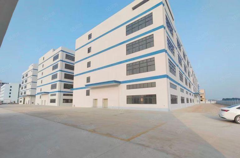 园洲镇产业园区20000平米全新标准厂房出租，1000起分租