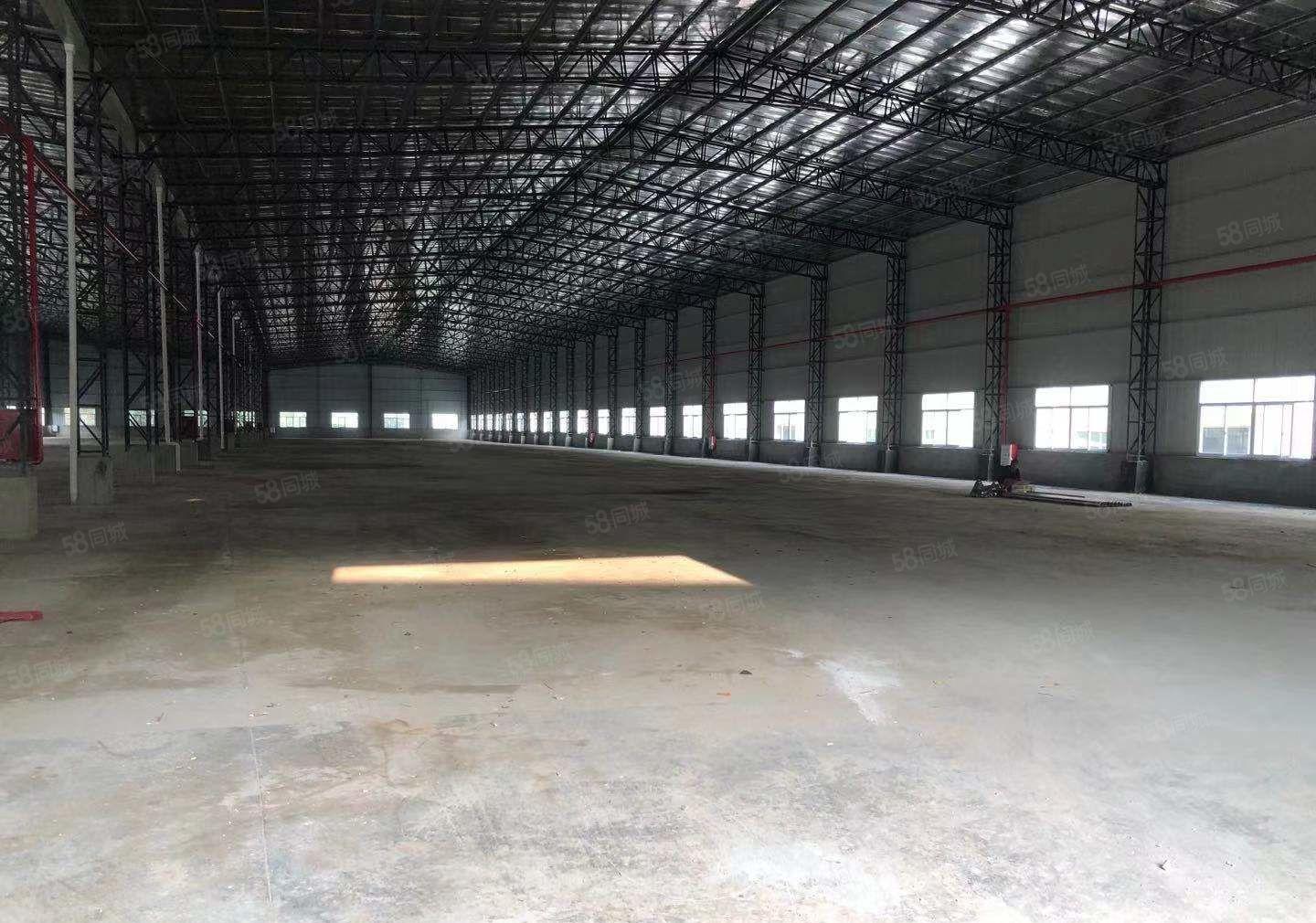 义和镇原房东单一层红本厂房出租