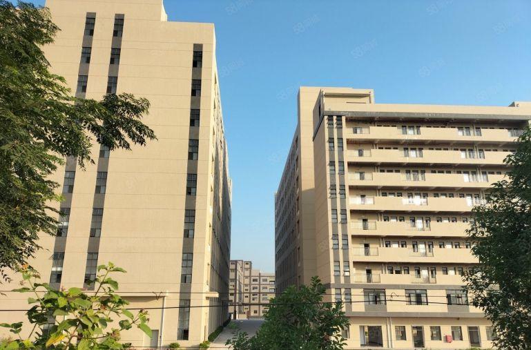 博罗园洲原房东全新花园式标准厂房出租10块钱离高速路口一公里