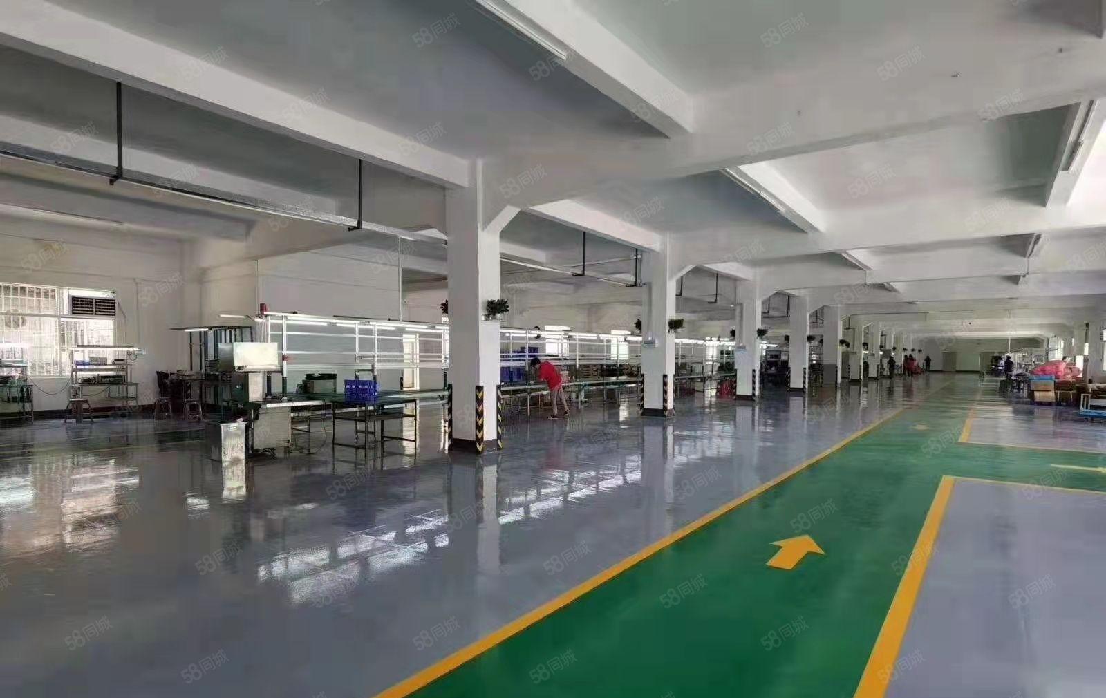 靓！现成装修1楼2800平方，现成地坪漆，国道边红本好办环评