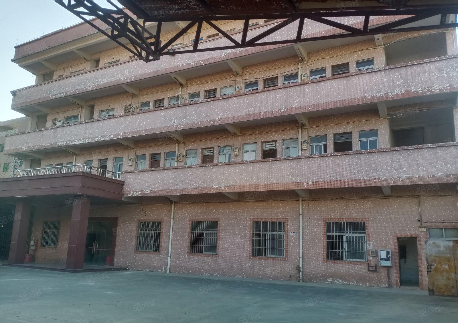 原房东钢构厂房面积5800平方，办公室精装修，宿舍配套齐全