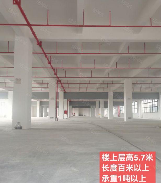 石湾千亿园红本厂房低价出租30000平，大小可分租高速出口旁