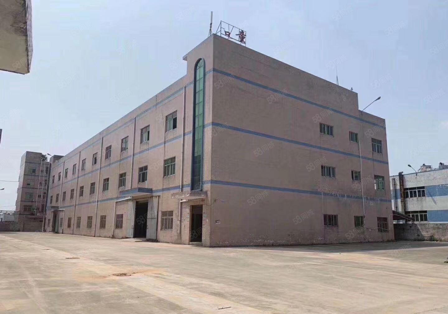 石湾镇原房东独院10000平标准厂房出租 园区空地大可办环评