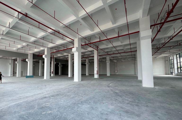 博罗罗阳8元厂房出租500起租5吨大货梯