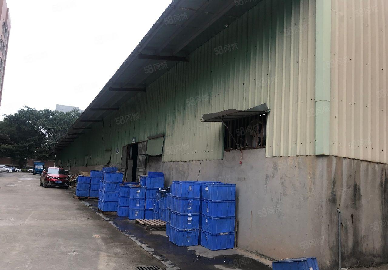 龙溪独院厂房出租价格优惠方正